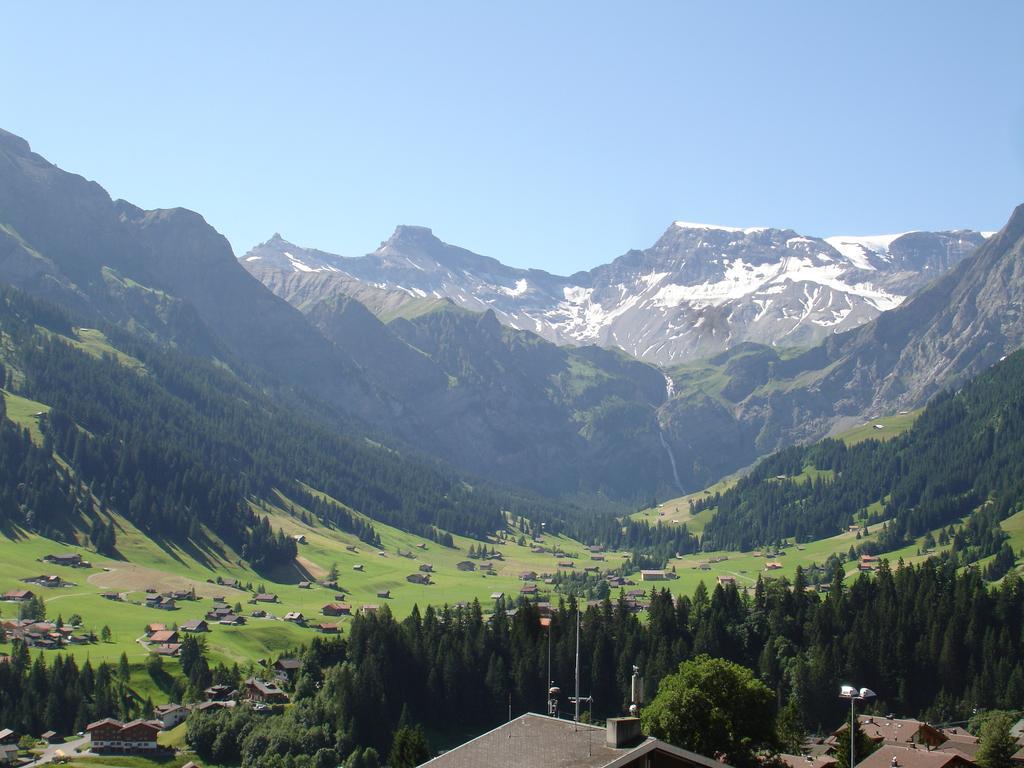 Hotel Viktoria Eden Adelboden Kültér fotó