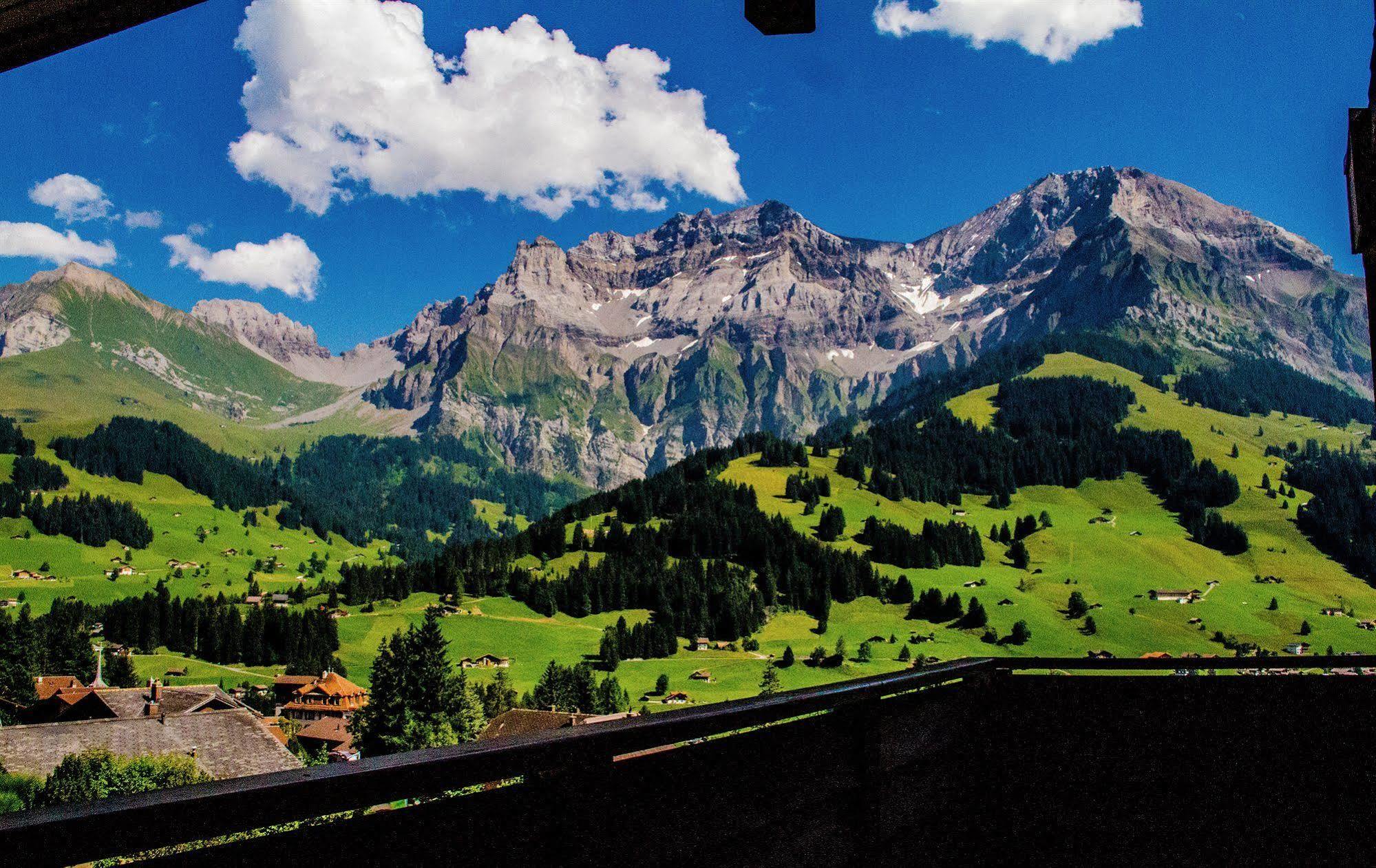 Hotel Viktoria Eden Adelboden Kültér fotó